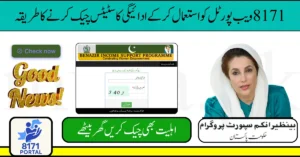 8171 Web Portal Guide