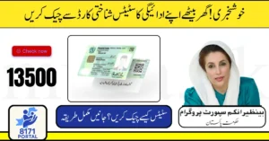 BISP 8171 Result Check Online by CNIC