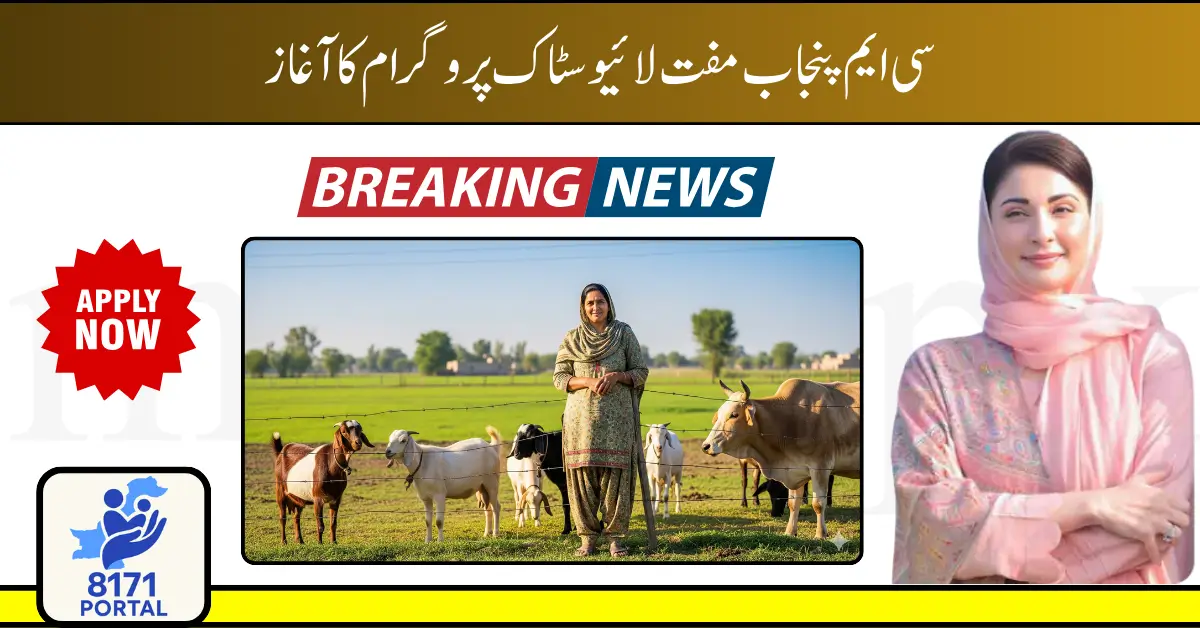 CM Punjab Livestock Program
