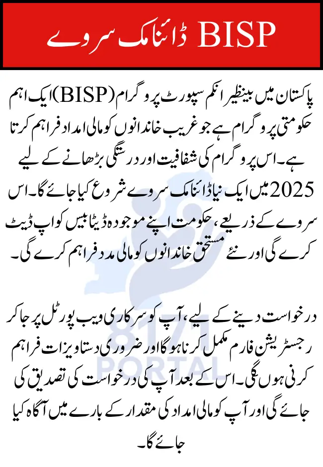 BISP Dynamic Survey