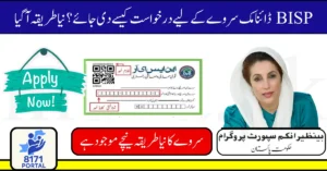 BISP Dynamic Survey 2025