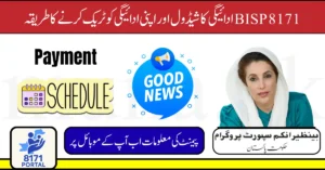 BISP 8171 Payment Schedule