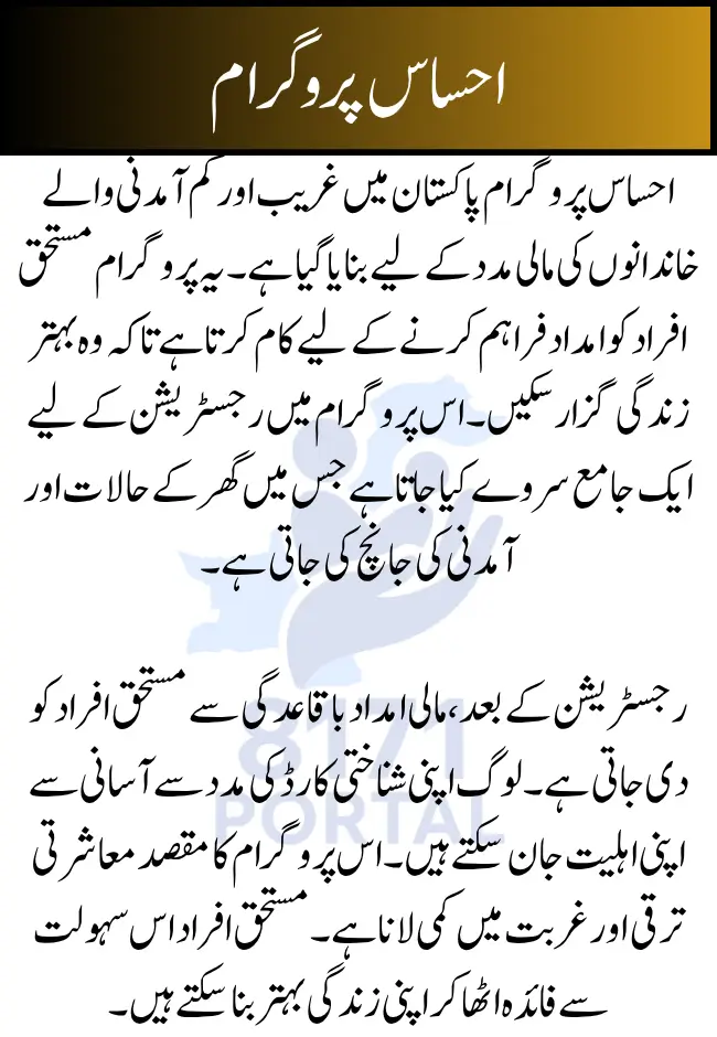 Ehsaas Program 2025 CNIC Check